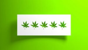 We Can All Learn From What Cannabis Shops Can’t Do