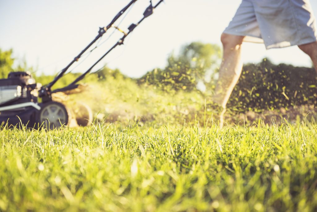 Low section of man mowing grassy field in yard against sky during sunset MASSLIVE MEDIA