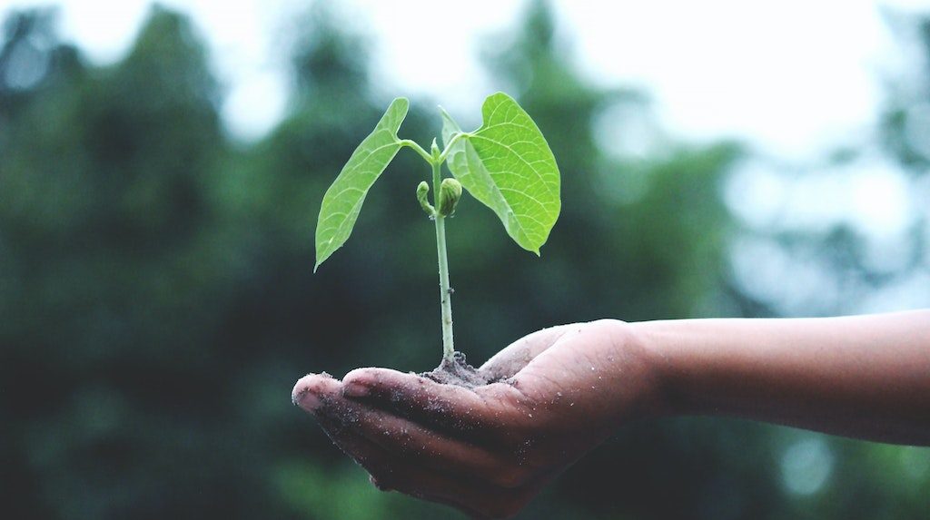 The Importance of Sustainability for Travel Marketing